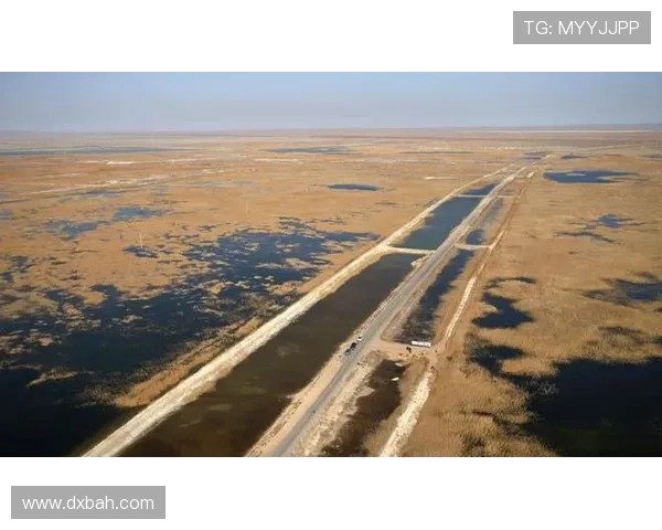 ✅体育直播🏆世界杯直播🏀NBA直播⚽- 从湖泊干涸到胡杨林面积增加 这条河全流域“立大功”- sports