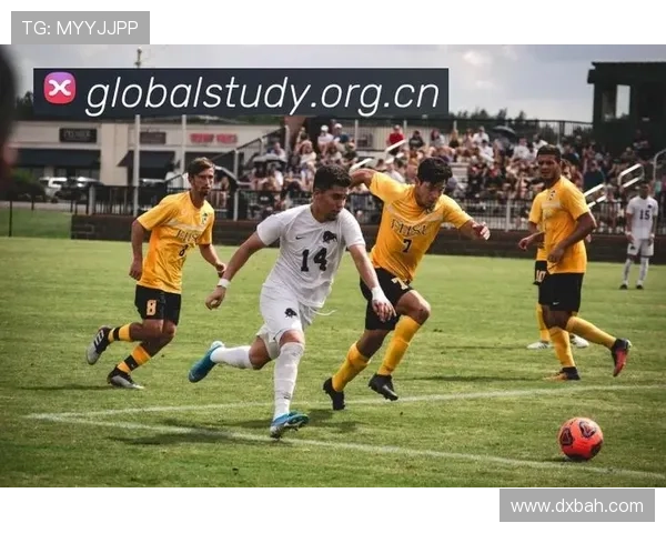 ✅体育直播🏆世界杯直播🏀NBA直播⚽- 香港失业率维持3% 总就业人数增加- sports